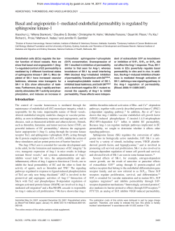 Basal and angiopoietin-1&ndash;mediated endothelial permeability is