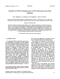 Number of tRNA binding sites on 80 S ribosomes and their subunits