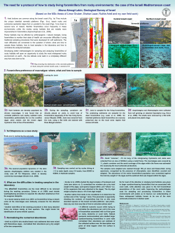 The need for a protocol of how to study living foraminifera from rocky