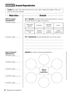 Chap. 6, Lesson 2 Worksheet