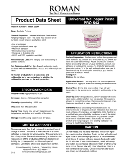 Product Data Sheet - Roman Decorating Products