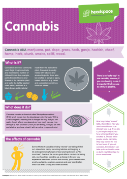 Cannabis - Headspace