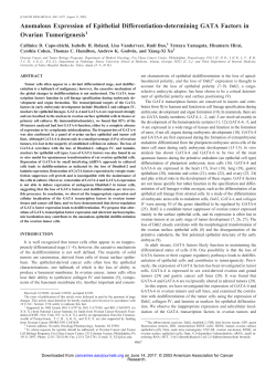 Anomalous Expression of Epithelial