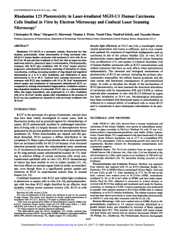 Rhodamine 123 Phototoxicity in Laser-irradiated