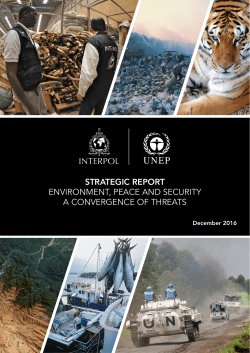 strategic report environment, peace and security a convergence of