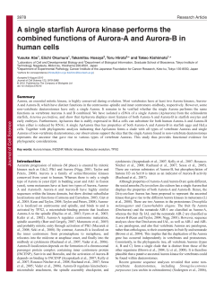 A single starfish Aurora kinase performs the combined functions of
