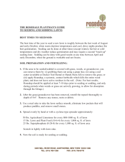 seeding and sodding lawns