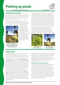 Planting-up ponds - Freshwater Habitats Trust