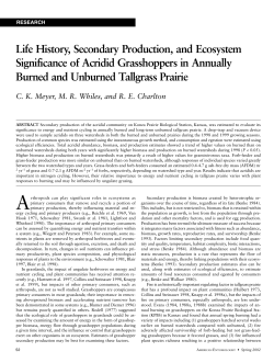 Life History, Secondary Production, and Ecosystem Significance of