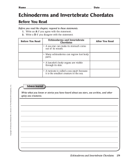 Echinoderms and Invertebrate Chordates