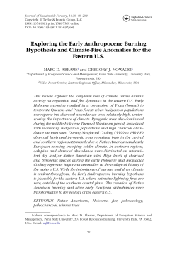 Exploring the Early Anthropocene Burning Hypothesis and Climate