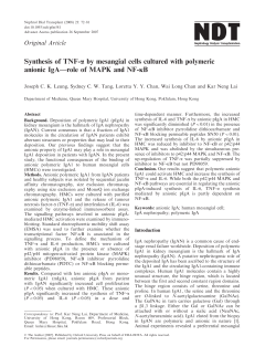 Synthesis of TNF-a by mesangial cells cultured