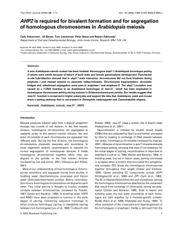 AHP2 is required for bivalent formation and for segregation of