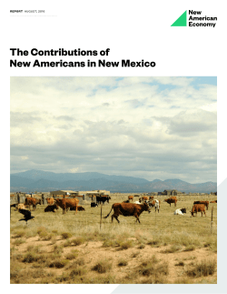 The Contributions of New Americans in New Mexico