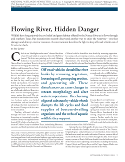 Flowing River, Hidden Danger