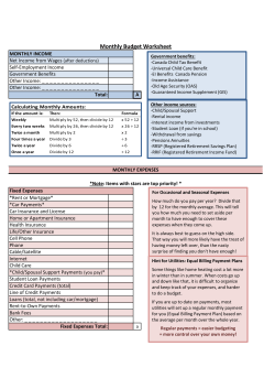 Budget sheet &ndash; Print version