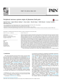 Peripheral nervous system origin of phantom limb pain