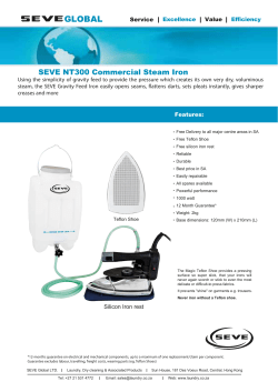 SEVE NT300 Commercial Steam Iron