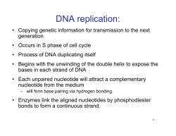 DNA replication