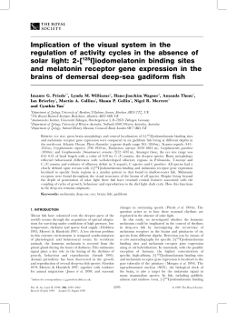 2-[125I]iodomelatonin bindi