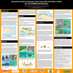 in-water surveys for sea turtles in two national