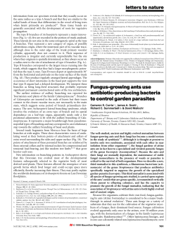 Fungus-growing ants use antibiotic-producing bacteria to control