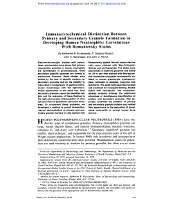 Immunocytochemical Distinction Between Primary and Secondary