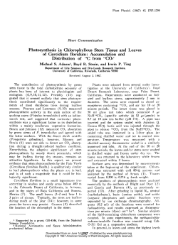 Photosynthesis in Chlorophyllous Stem Tissue and Leaves of