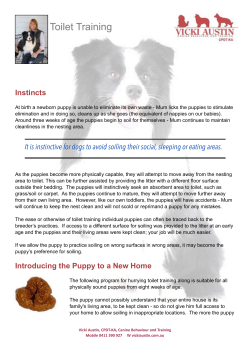 Toilet Training