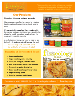 Fizzeology Press Kit-final2