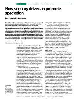 How sensory drive can promote speciation