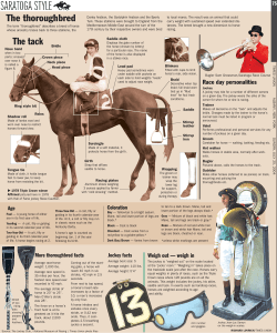 The tack The thoroughbred