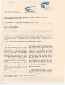 INDUCTION AND MAINTENANCE OF FRIABLE CALLUS