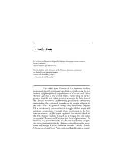 Las Hermanas: Chicana/Latina Religious-Political