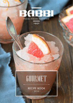 Babbi Gourmet Recipes 2016