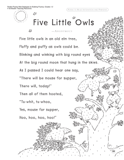 Five Little Owls