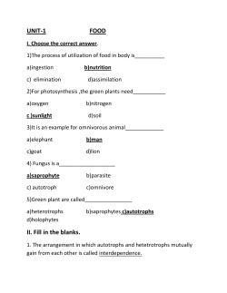 2nd Semester - Uday Pre