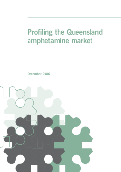 Profiling the Queensland amphetamine market