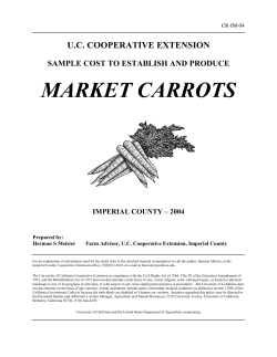 Carrots