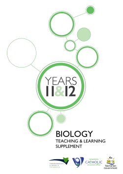 Teaching and Learning Supplement