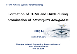 Cyanobacteria, Presentations, External