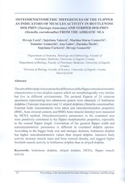 OSTEODENSITOMETRIC DIFFERENCES OF THE FLIPPER AS