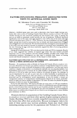 factors influencing predation associated with visits to artificial goose