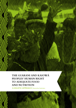 the guarani and kaiow&aacute; peoples` human right to adequate