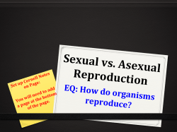 Sexual and Asexual Reproduction