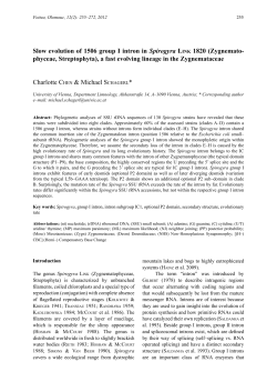 Slow evolution of 1506 group I intron in Spirogyra Link 1820