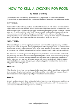 how to kill a chicken for food