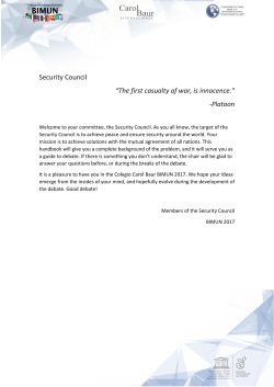 Security Council - Fundaci&oacute;n Cultural Baur AC