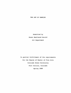 The art of rawhide - DSpace Home