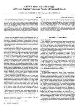 Effects of Kernel Size and Genotype on Popcorn Popping Volume